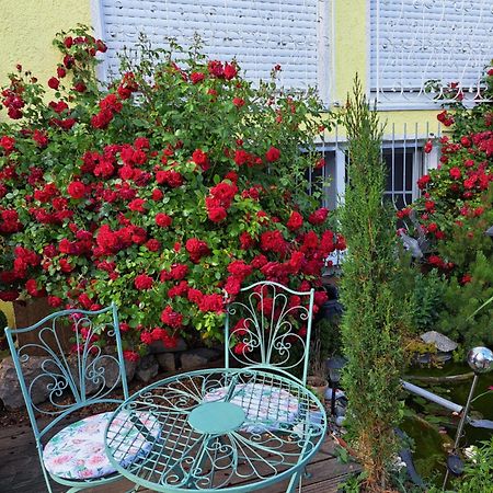 Ferienwohnung Nensi Ehekirchen Exterior foto